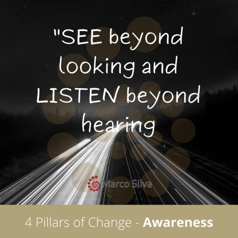 Marco Silva coaching - 4 pillars of change - getting awareness
