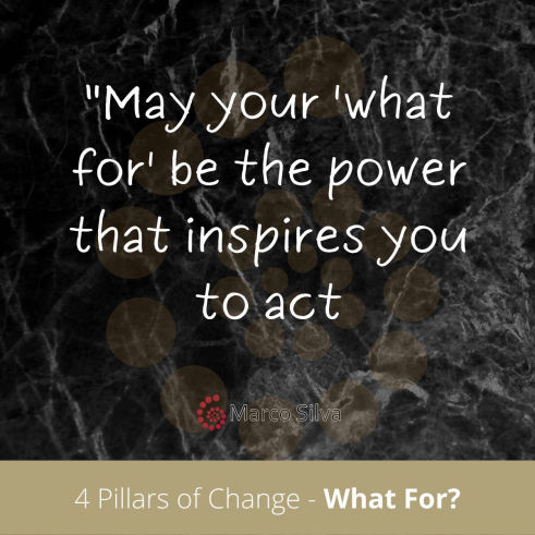 Marco Silva coaching - 4 pillars of change - what for